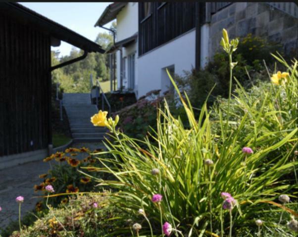Appartement Lichteck - Helle Ferien à Breitenberg  Extérieur photo